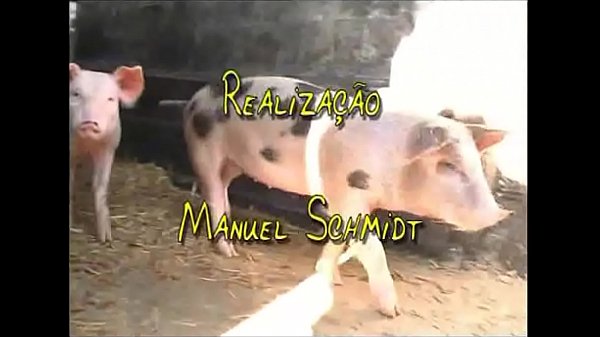 Video Pornografia Em Portugues